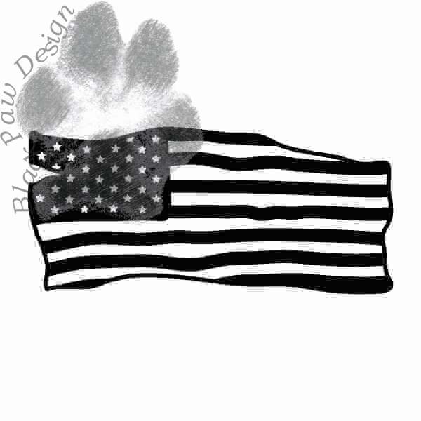 Flag18