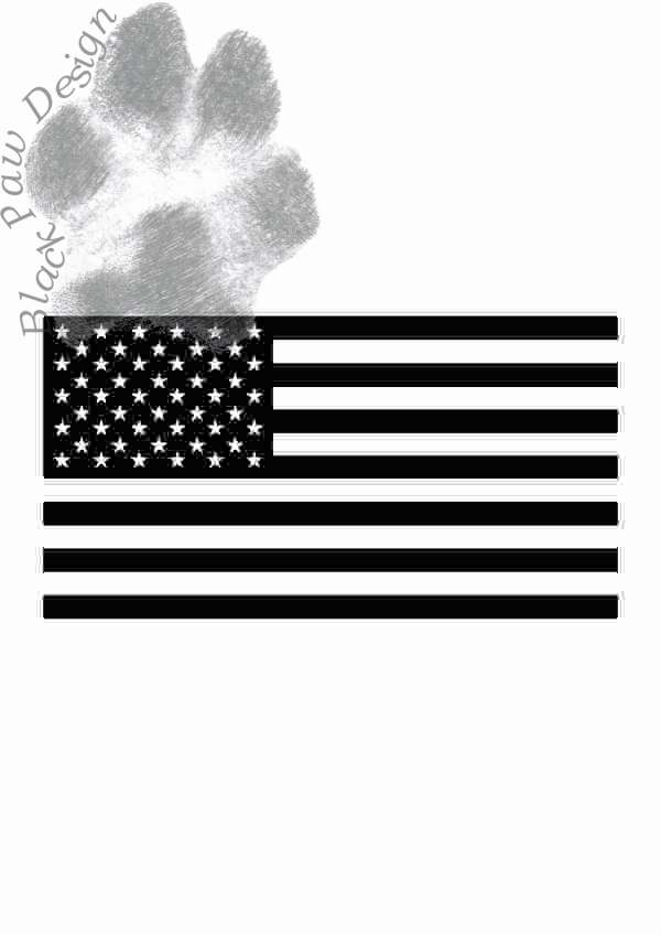 Flag7